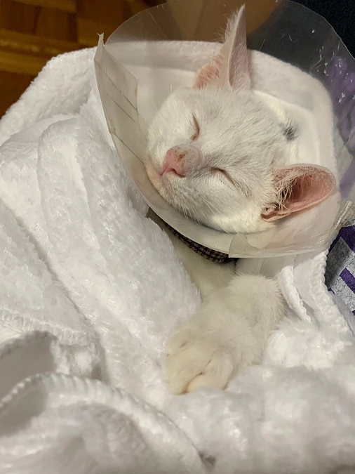 皆様のご支援に感謝申し上げます