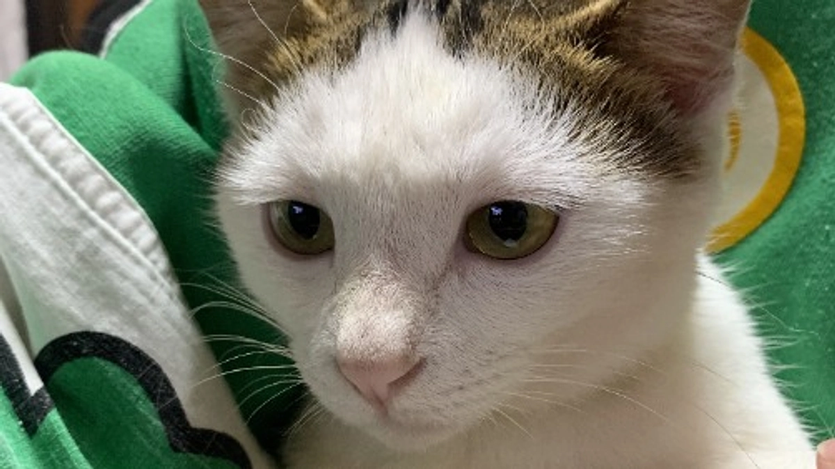 4倍モヒ　ドーピング違反の疑い