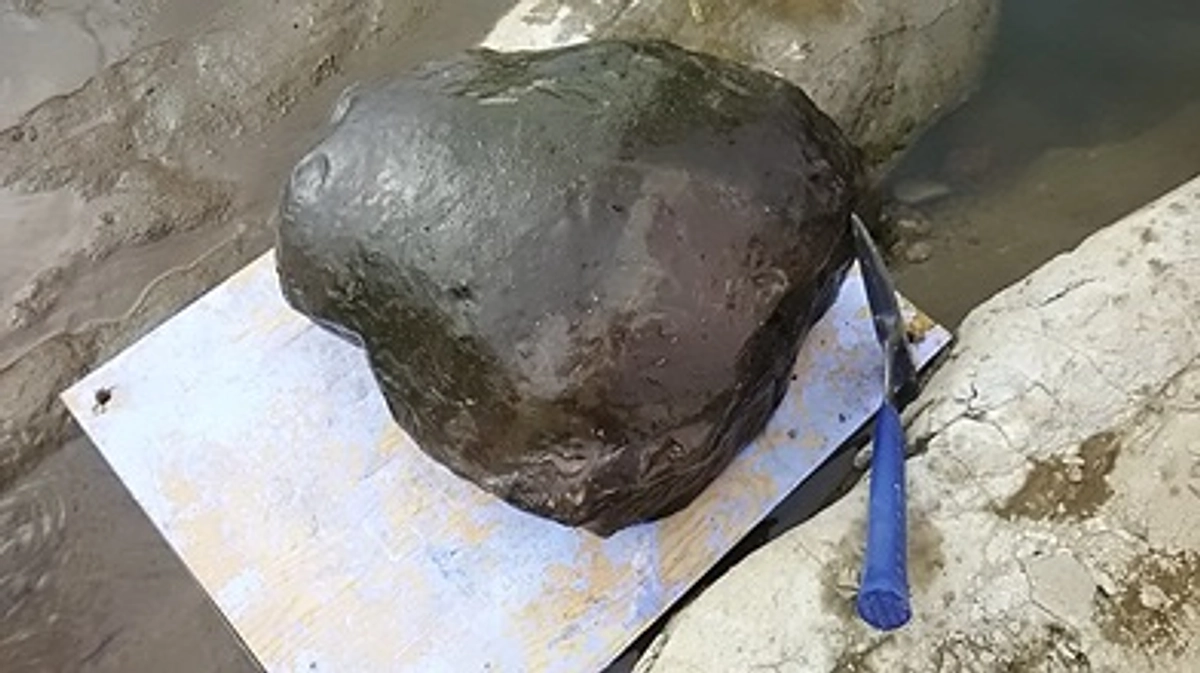 おにぎりクジラ１