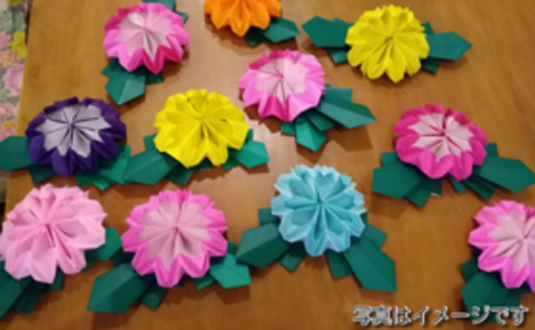 ろーるきゃべつ全力応援5,000円コース