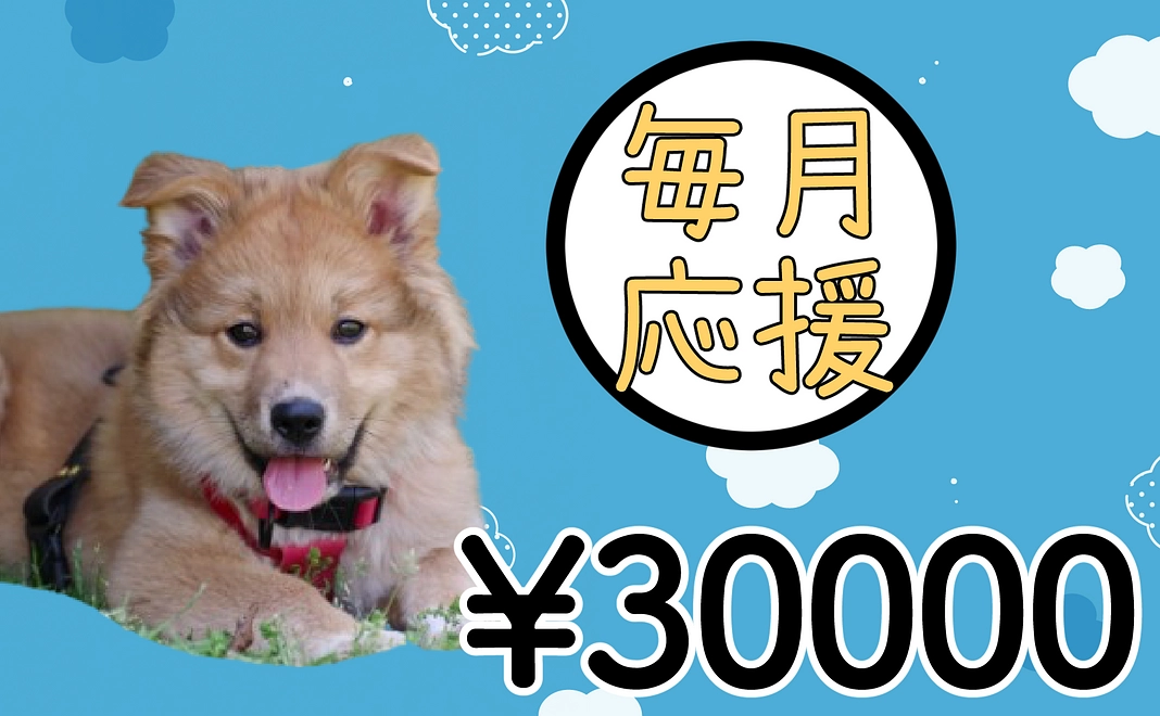 【毎月応援】30000円コース【継続応援】