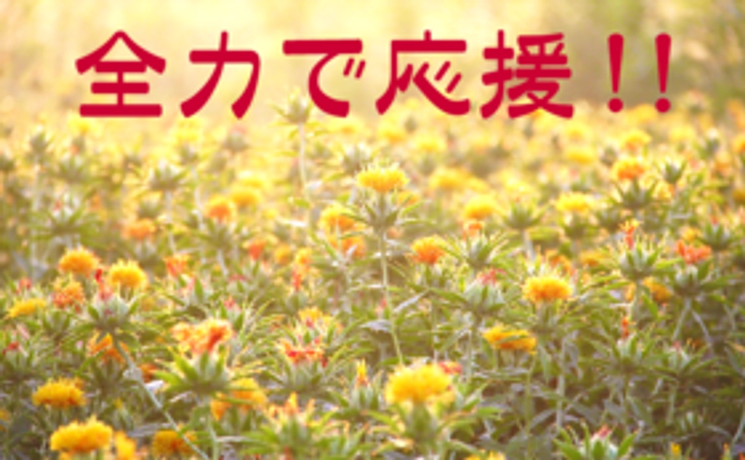 応援のみA（リターンなし）