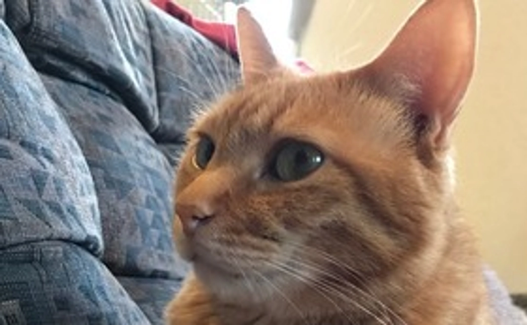 支援500円コース