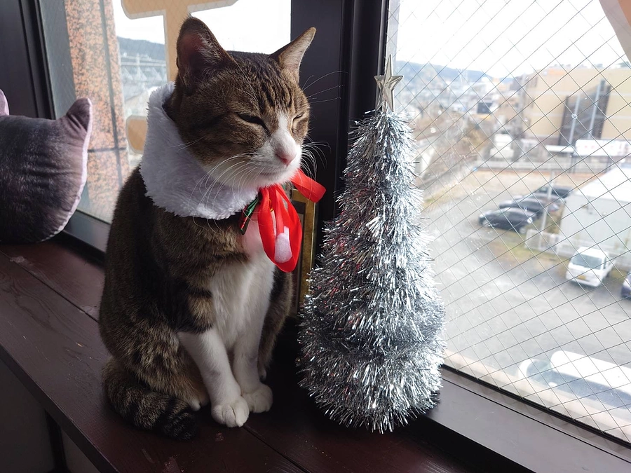 メリークリスマス