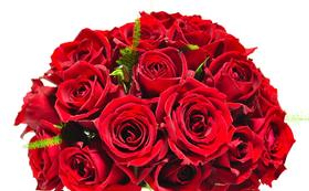 感謝の気持ちを込めて、お礼のメールをお送りします！