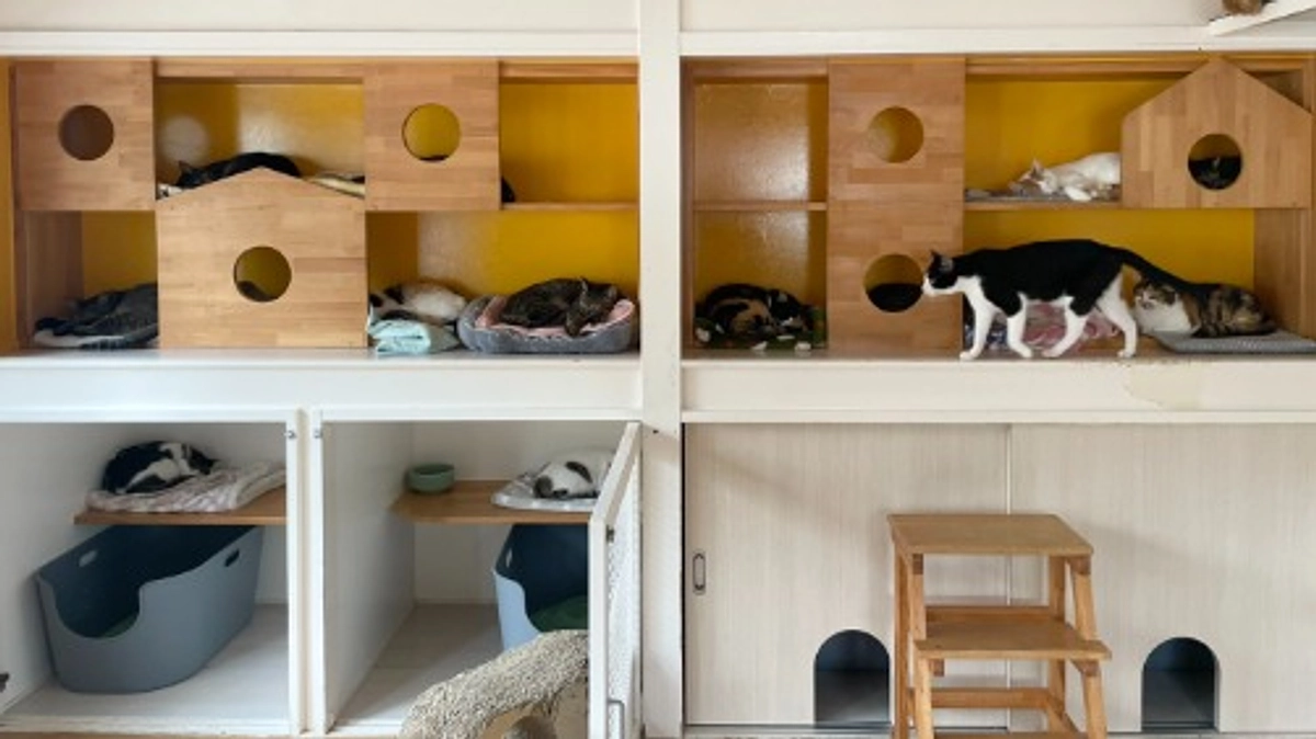 ＬＹＳＴＡ通信　R７年９月