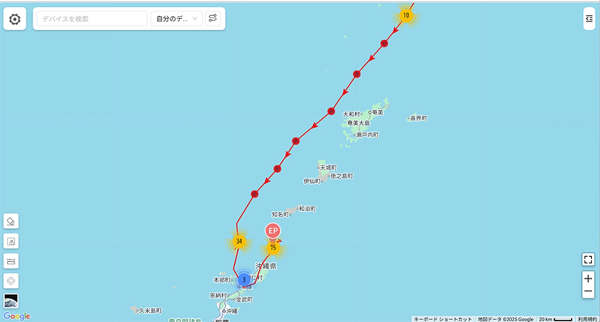 【速報】サシバの渡り報告　10月10日