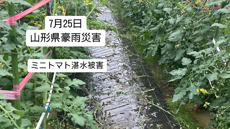 豪雨災害をうけ、機械の修理費と今後の活動資金の支援をお願いします。