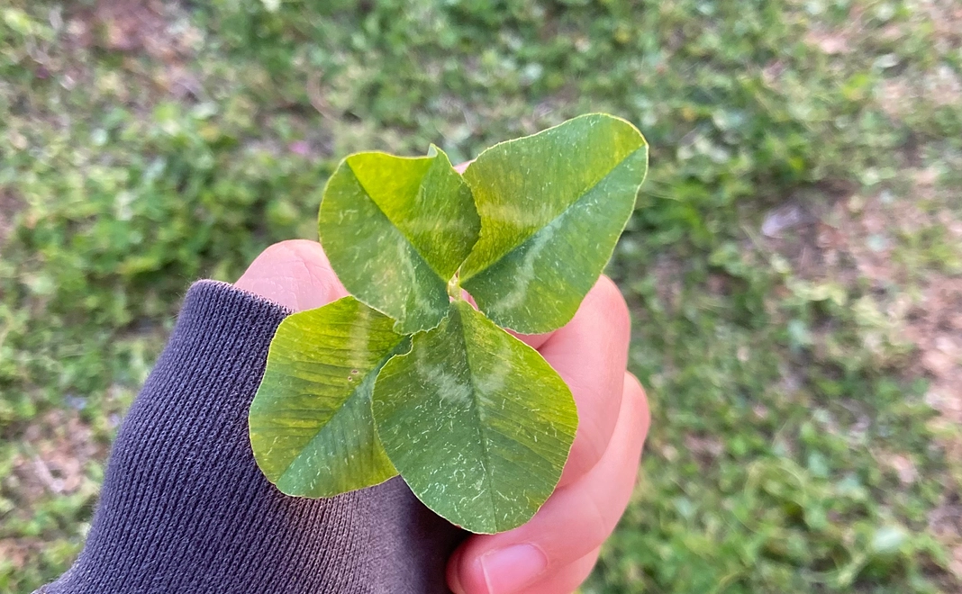 お気持ち応援コース 梅