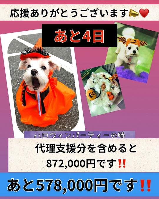 クラウドファンディング終了まで4日！