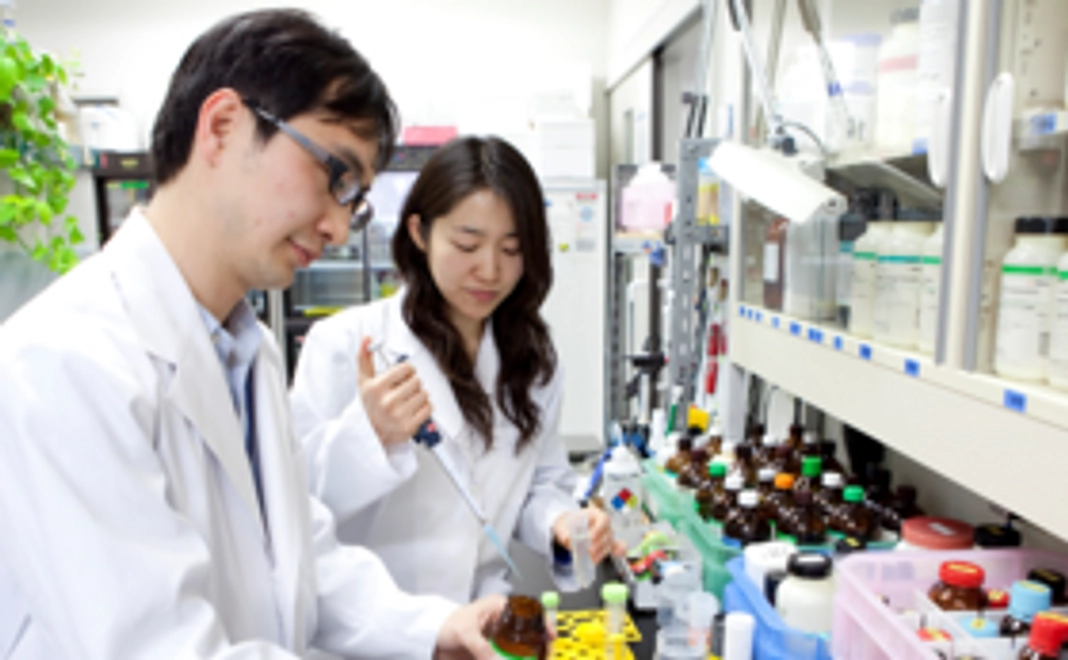 【お名前の掲示と感謝の気持ちをお届けします！】