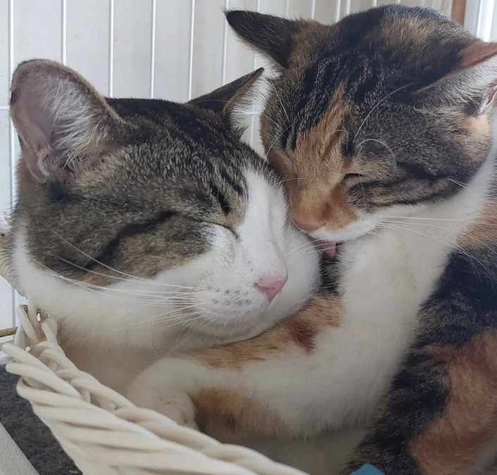 【第一目標達成!!】ネクストゴール 1800万円 目指します‼️