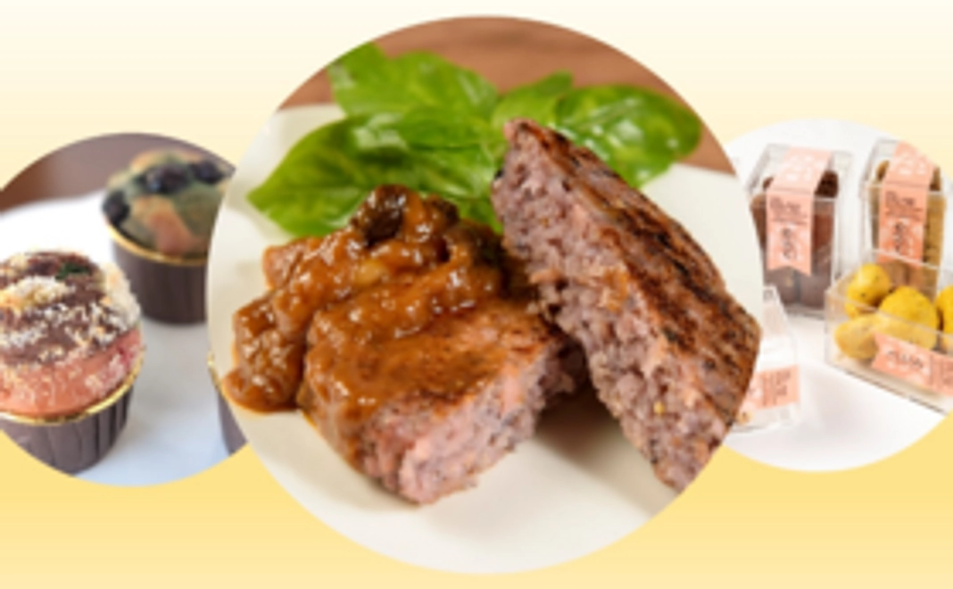 「ベジカ」色々お試しセット（日本在住の方限定）