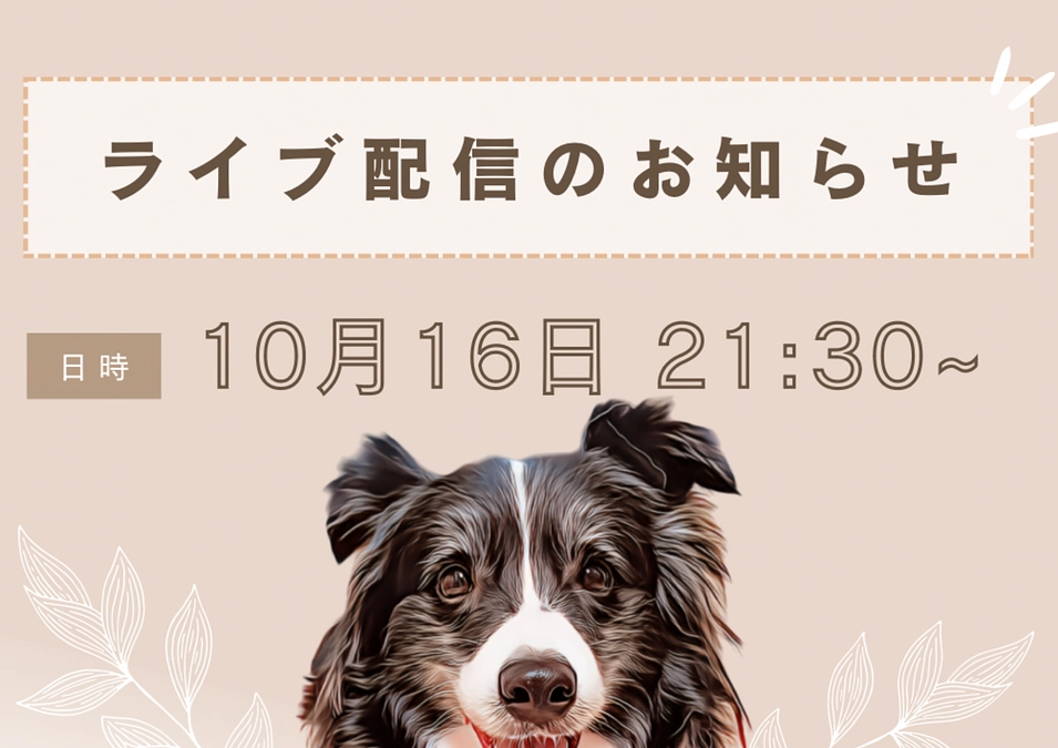 インスタライブのお知らせ- ̗̀📣