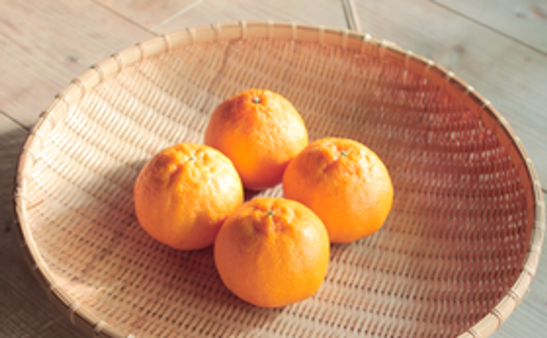 減農薬デコポン(小箱)+ワンドリンク券