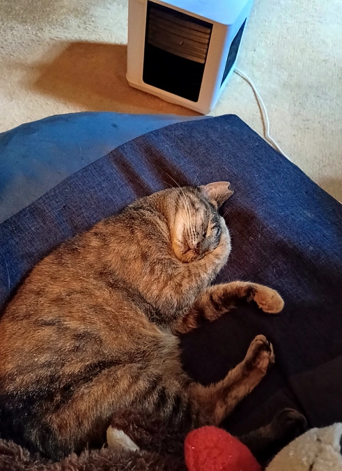 スポットクーラー