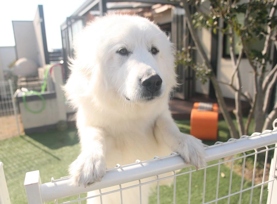 90%達成しました！　あと少しで第一目標達成です！