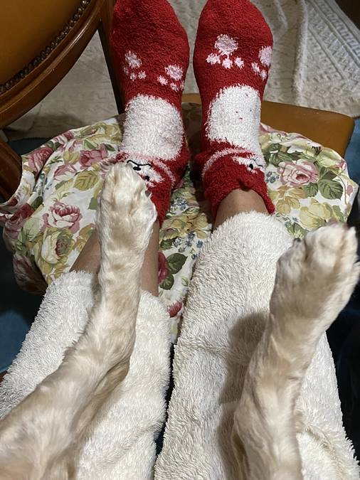 残り17日、目標金額達成まであと358000円です　どうかどうかもう一度ご支援お願い致します！