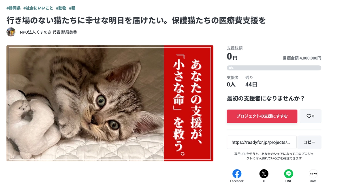 【本日公開！】行き場のない猫たちに幸せな明日を届けたい。保護猫たちの医療費支援を