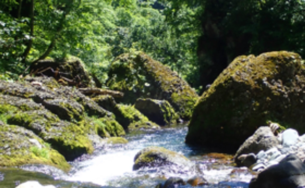 しっかり応援コース　『アイヌ民族、日本人、その世界』（日本語版・英語版合冊）１冊