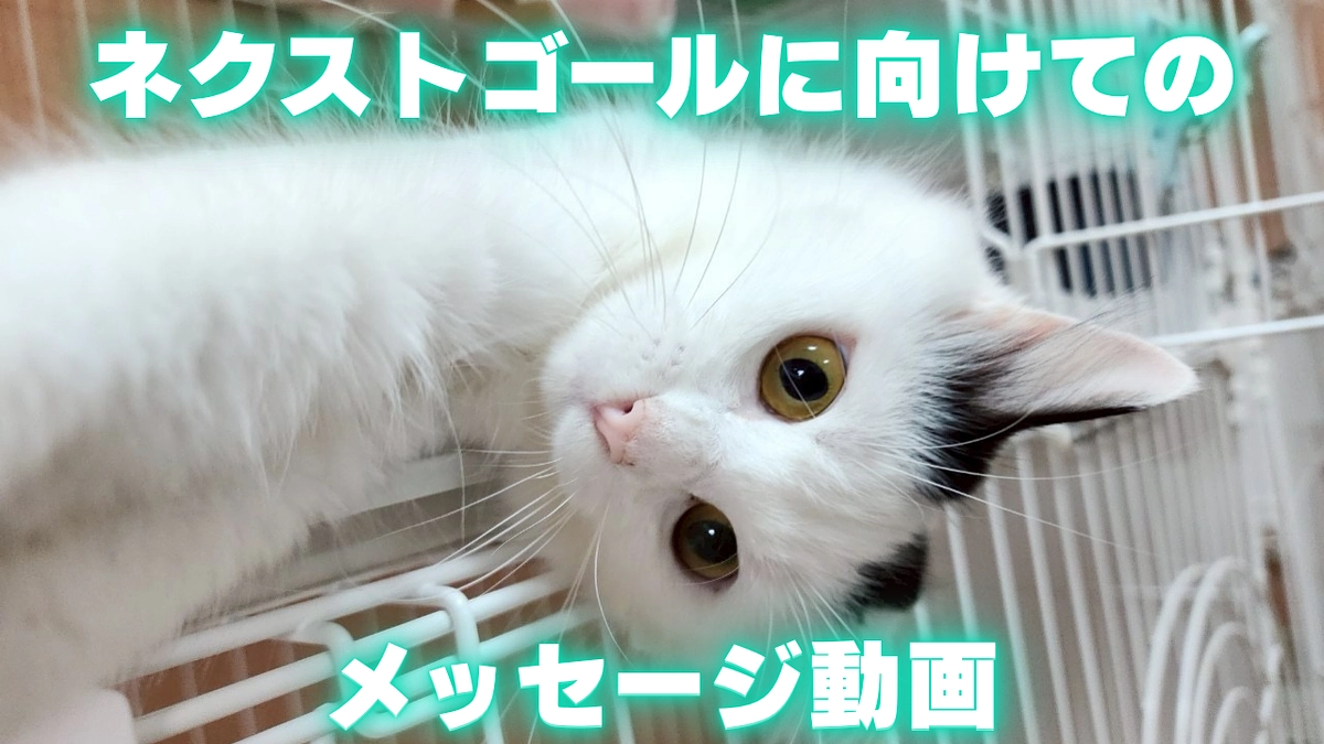 ネクストゴールへ向けてのメッセージ動画を撮影しました！