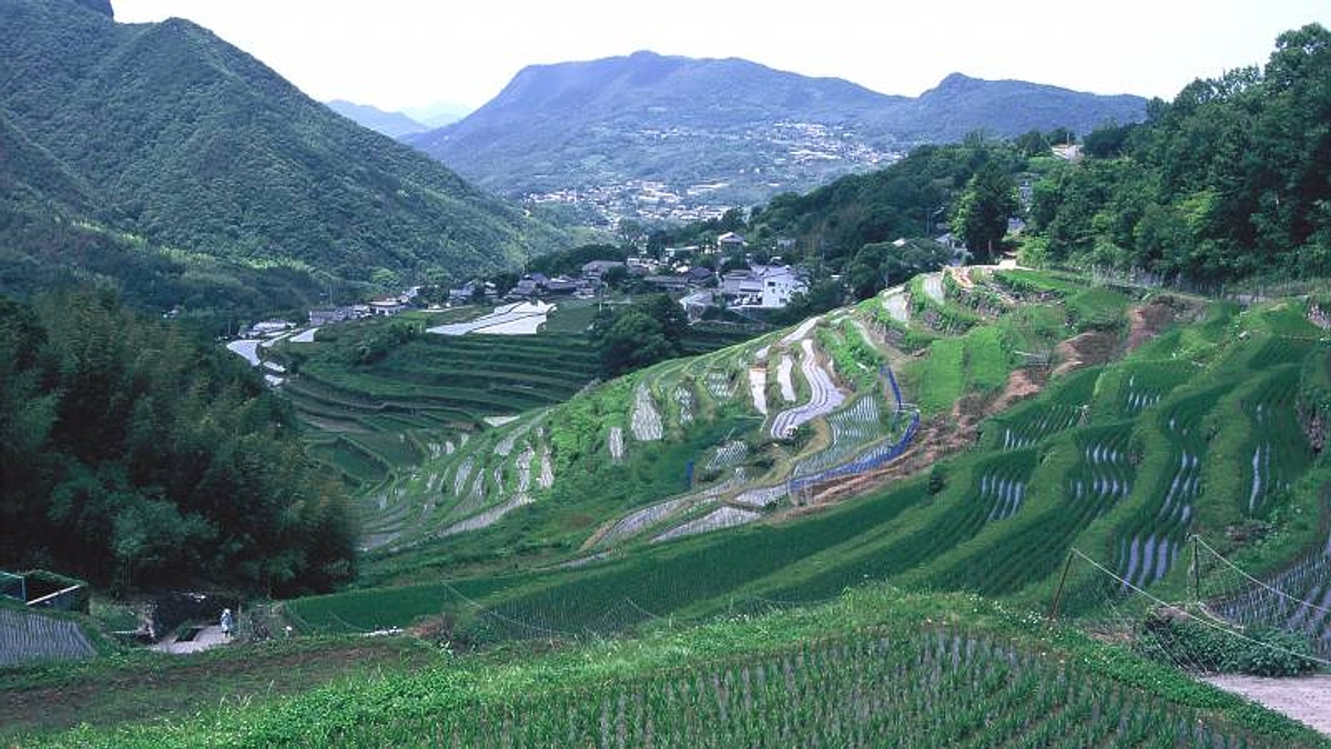 中山千枚田と農村歌舞伎舞台を満喫する散策&体験ツアー
