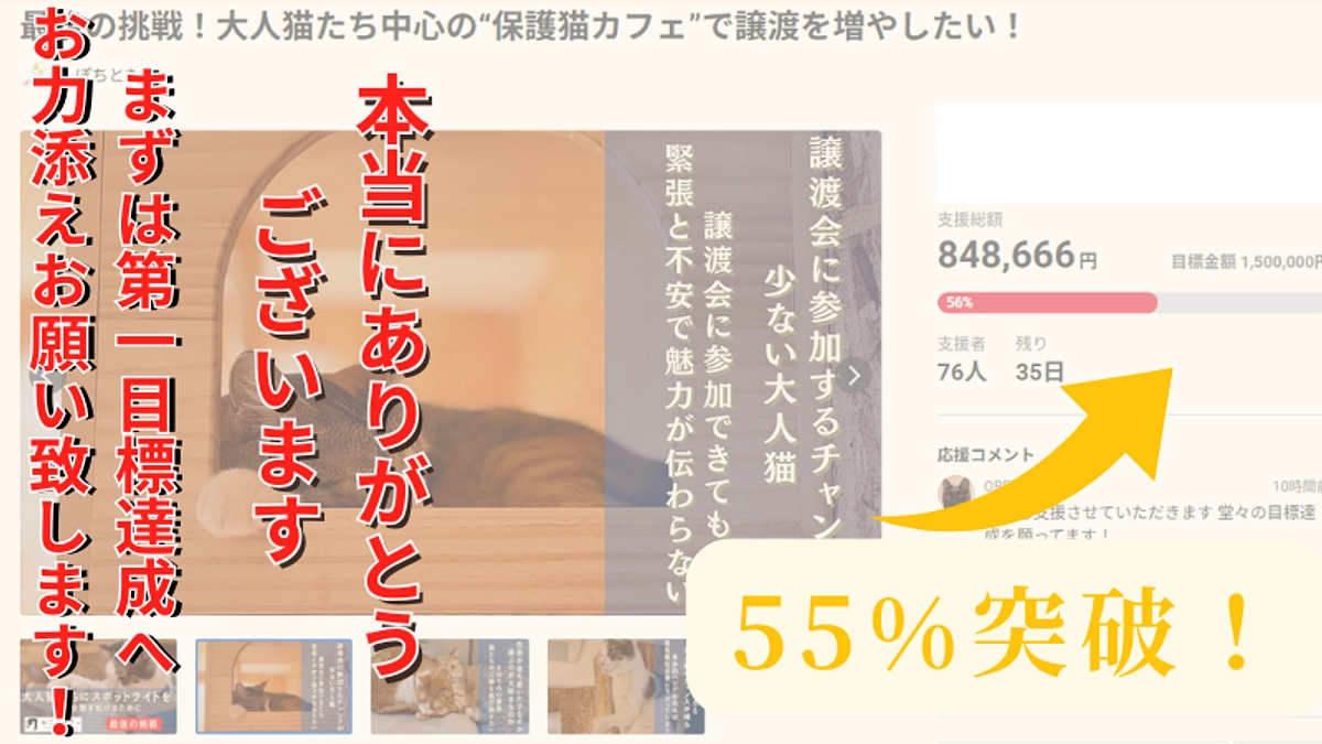 【開始から1週間で55％到達！】残り35日で第1目標からセカンド・サードゴールまで目指します！