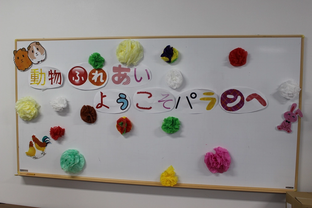 （８）葛飾区「パランしょうぶ」