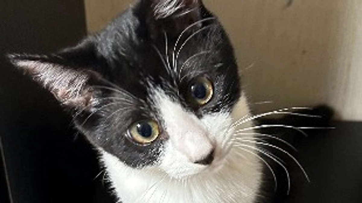 ご支援総額50%達成し、いよいよ折り返しです‼️みなさまありがとうございます。