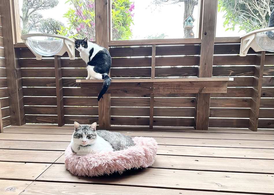 今日の嬉しかったこと