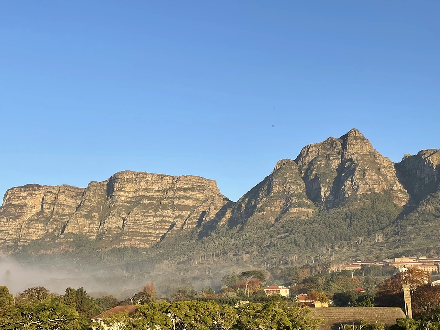 ケープタウン大学・ニャムンジョ教授ご夫妻からの応援メッセージ