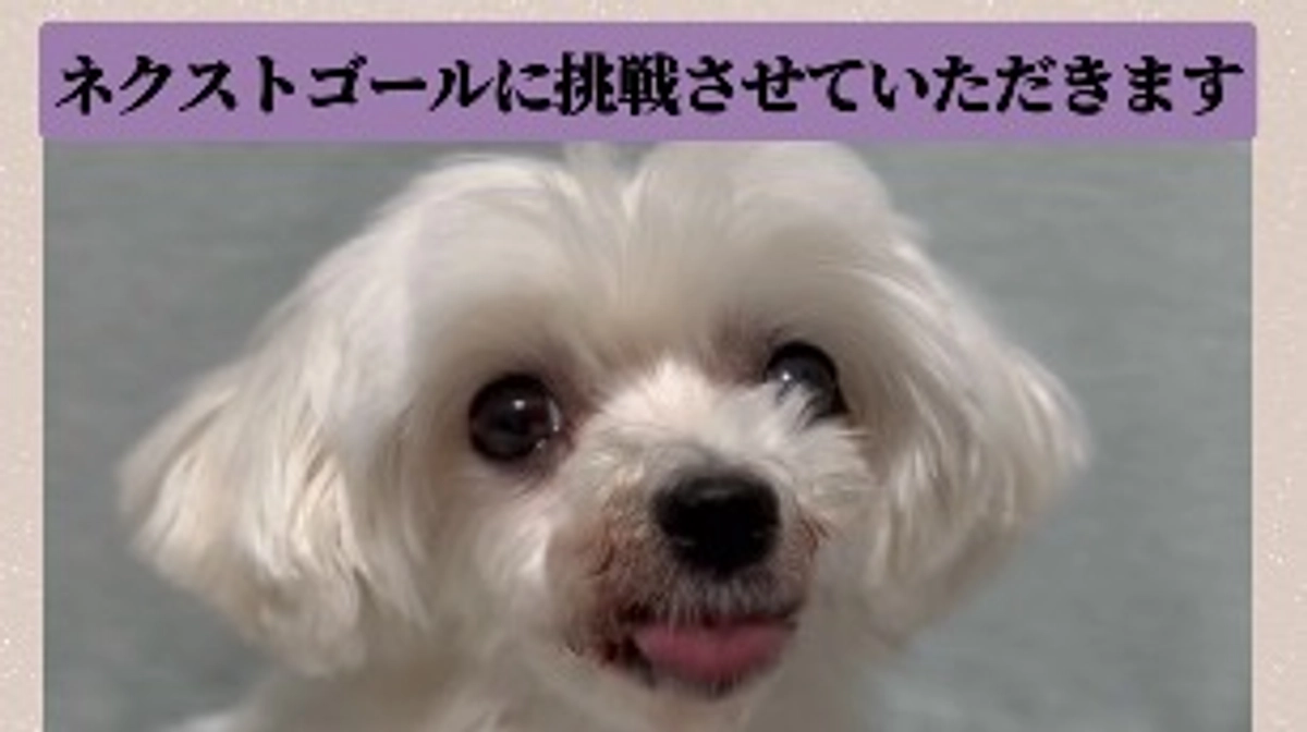 ネクストゴールに挑戦させていただきます。
