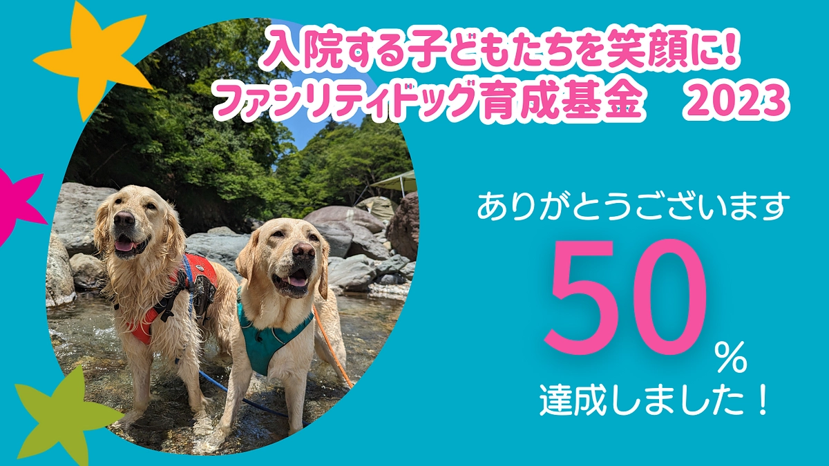 タイとマサからのお礼　50％達成しました！