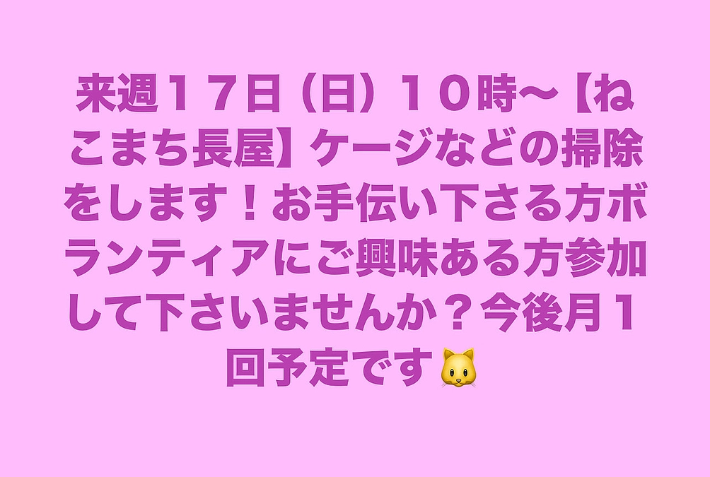 【あと４万円で３００万円に到達しまーす❣️