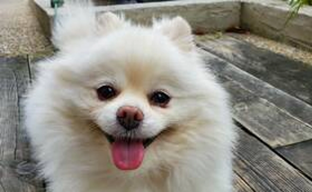 1万円｜リターンご不要な方向け・応援コース