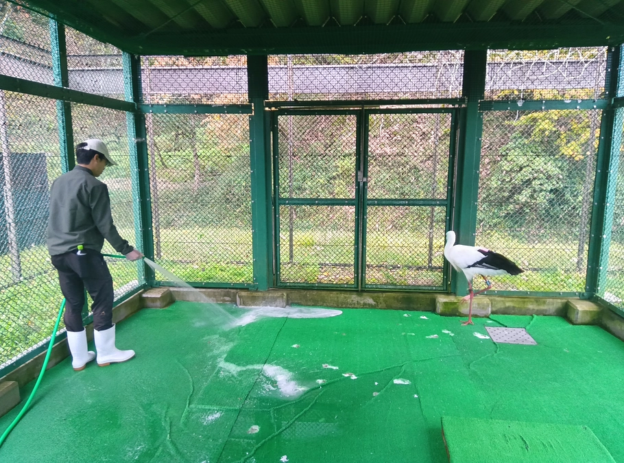 コウノトリの郷へ研修に行ってきました！