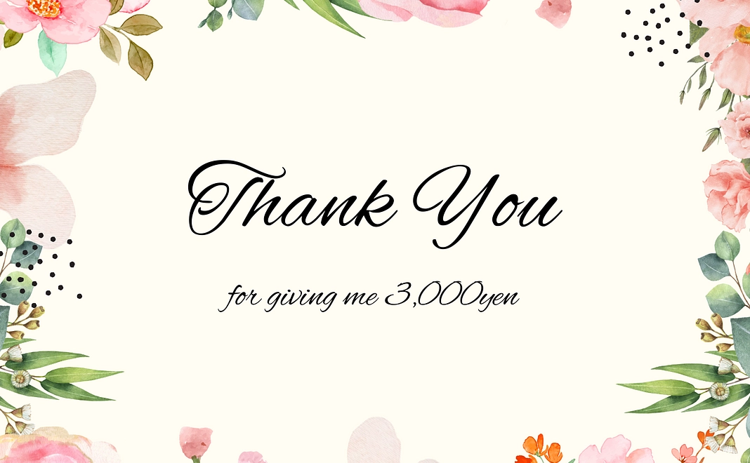 お礼不要の応援コース3000円(リターンを希望しない方々向け)