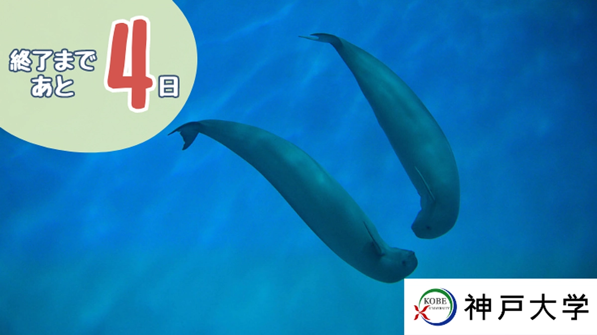 目視調査に行ってきます！