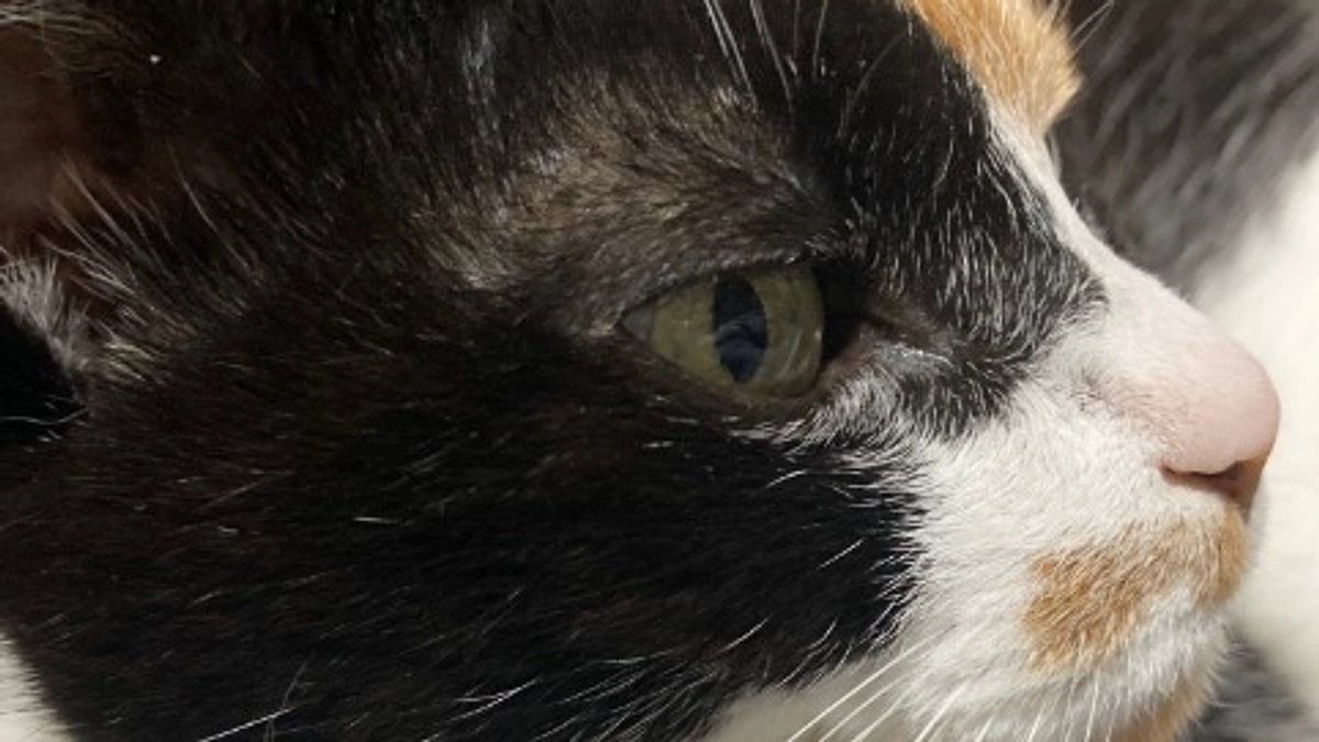 ■活動報告_10：少し肌寒い金曜日。