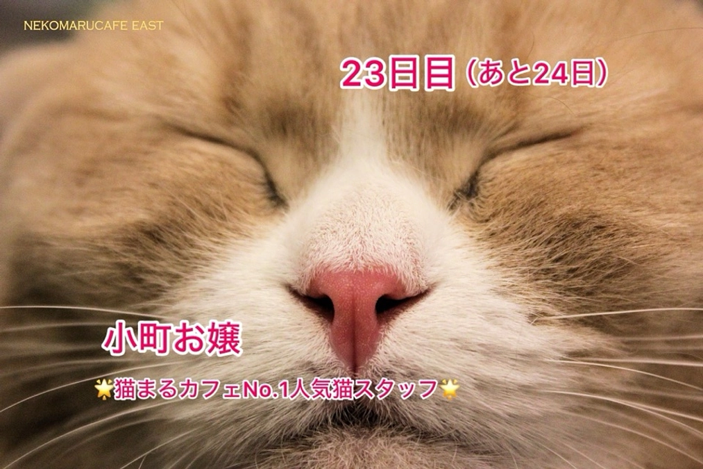 今月は医療費がかなり高額となっています（3/7  23日目）