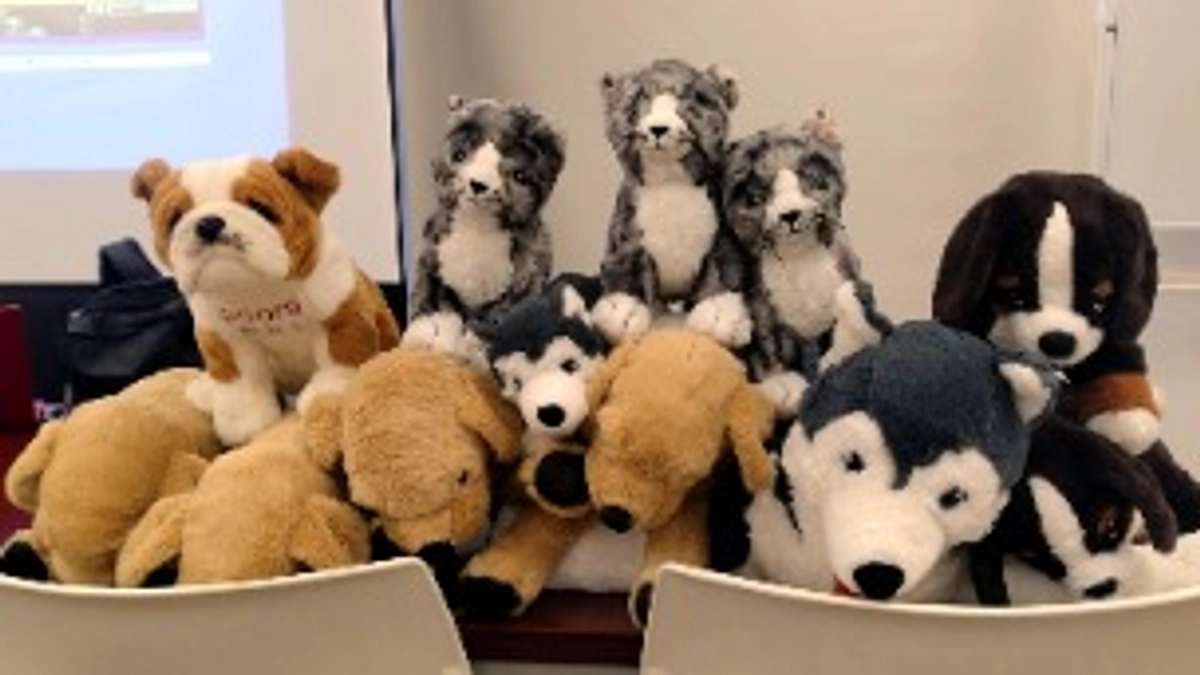 挑戦35日め！ 〜🐶🐱「人とペットの防災救急士」資格取得のご報告〜