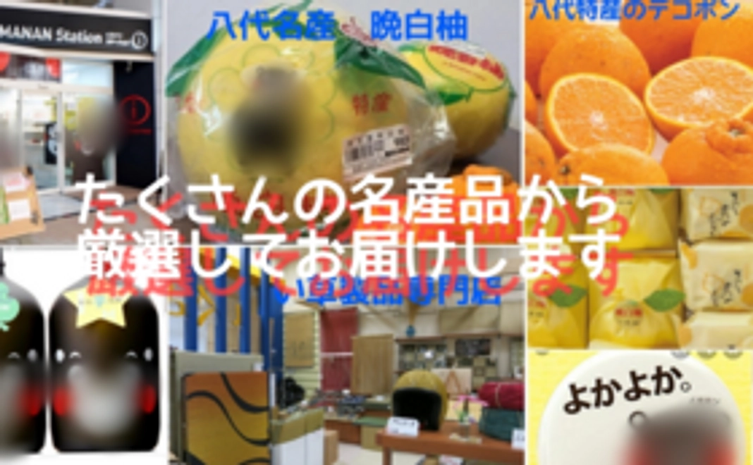 サプリメント開発応援コース　１