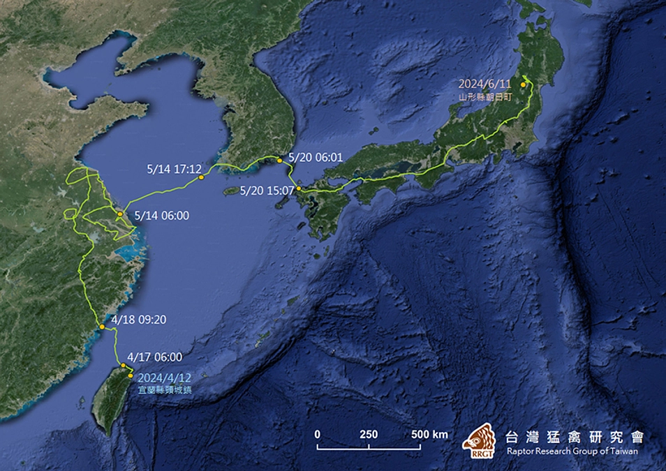 【台湾からの事例紹介】台湾猛禽研究会　Yinyin Wu（インイン）さん