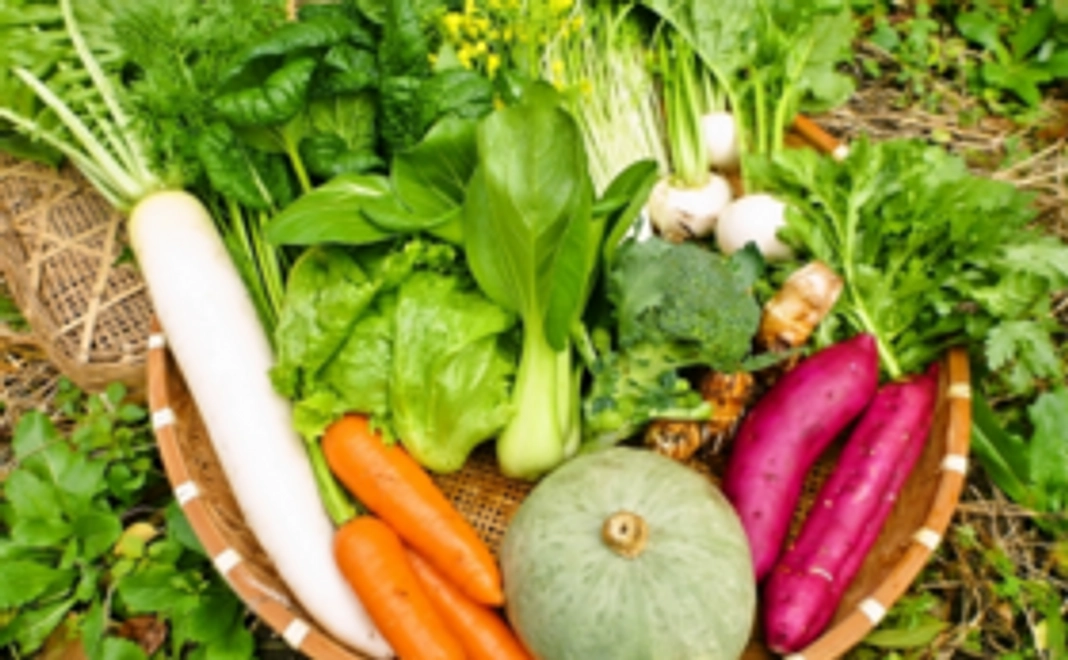 おらの農園特製　野菜セット！