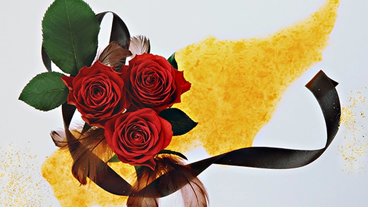 写真の新表現を模索する写真家：柴原薫の作品を広めていきたい。