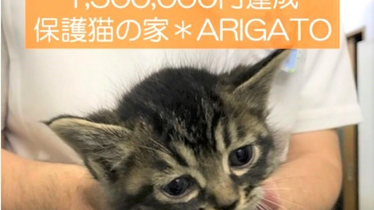 殺されてしまう命を幸せな猫ライフへ！保護猫カフェ2年目の挑戦