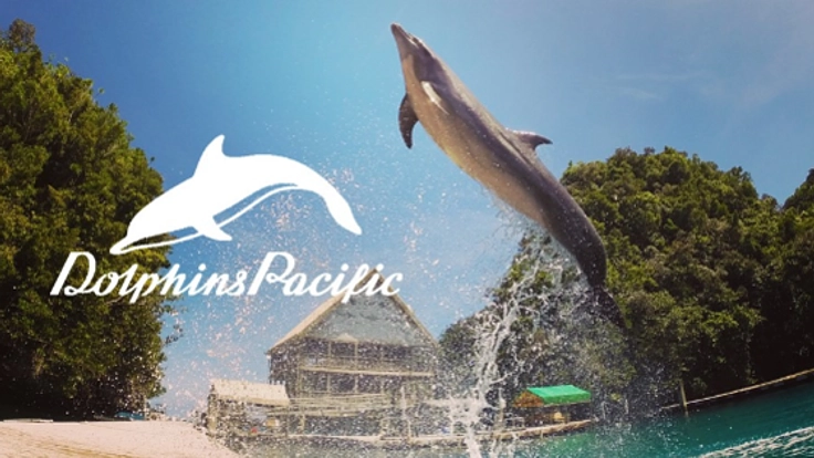 南国パラオ、大自然の中でイルカと人をバリアフリーに！！