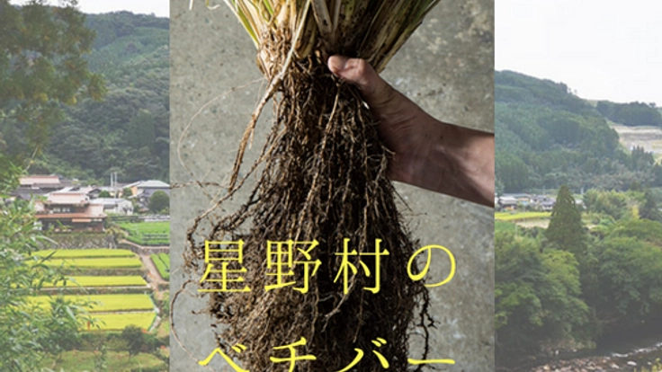 八女市星野村発のハーブ「ベチバー」の魅力を届けたい！