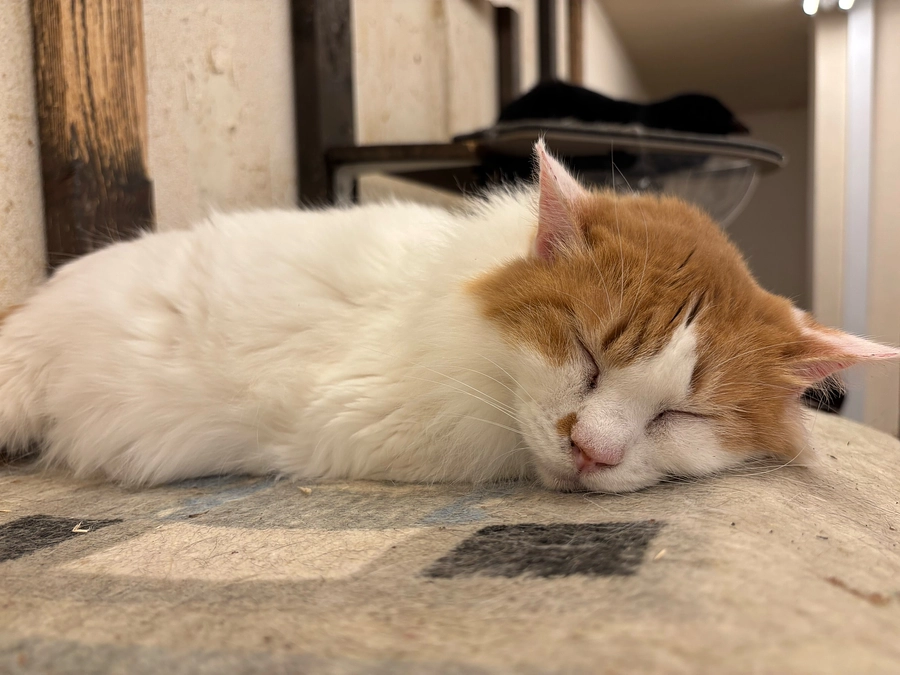 【終了まで残り2日！】皆様の応援、しっかり届いています！