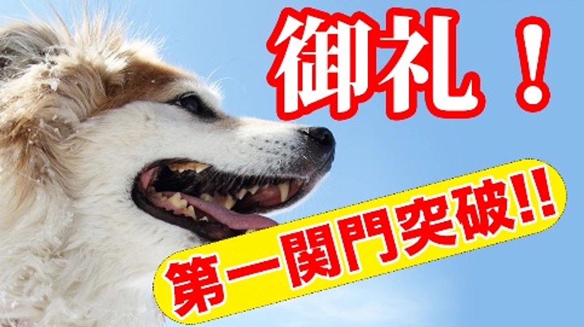 【第一関門の30％を突破！】いただいた応援コメントを胸に突き進みます！